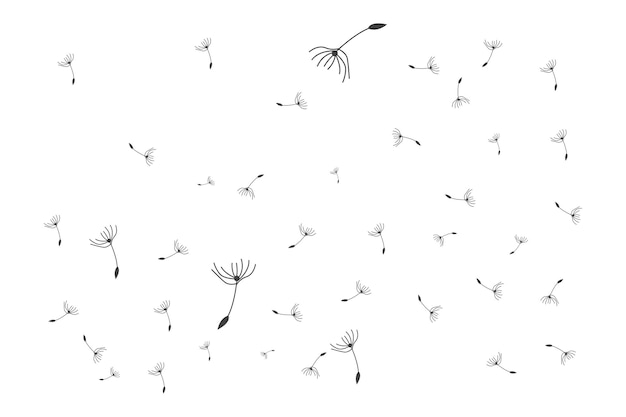 Dandelion Logo Vector Plant Dandelion flower Design Icon Template