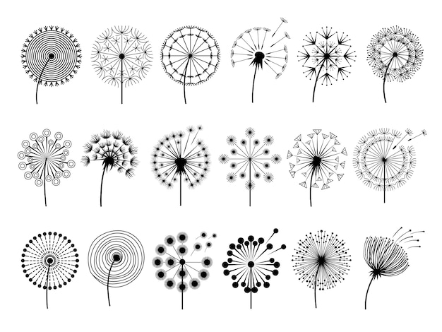 Dandelion silhouettes. Herbal illustrations flowers decoration