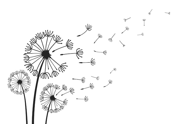 Dandelions with flying seeds fluffy dandelion flower silhouettes Spring season blooming blowball flowers doodles vector illustration