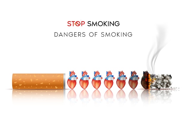 The dangers of smoking Effects of smoking the risk of heart disease