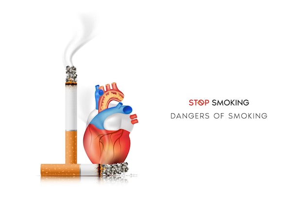 the dangers of smoking effects of smoking the risk of heart disease