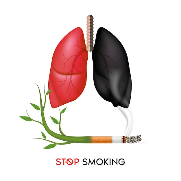 Dangers of smoking Smoking effect on human lung. World No Tobacco Day banner