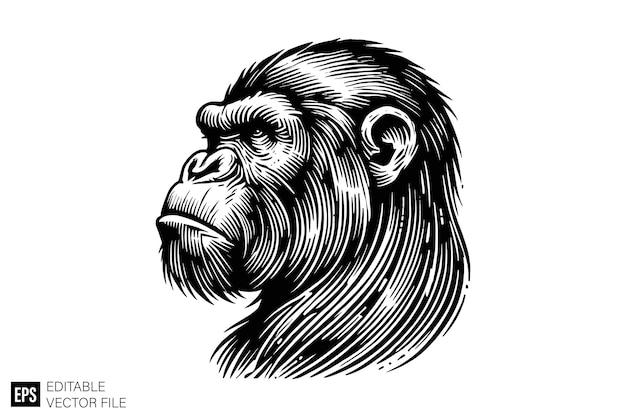 dark art ape vector art illustration graphic design black and white