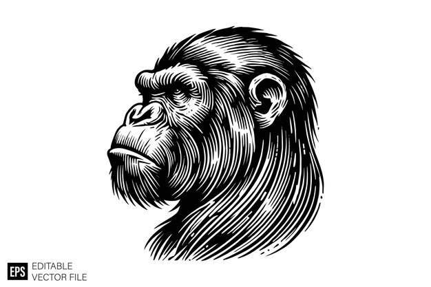 Vector dark art ape vector art illustration graphic design black and white