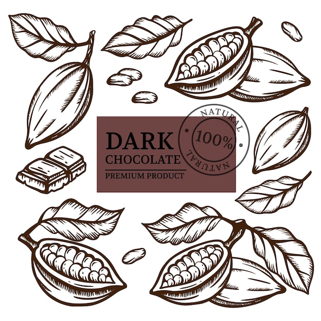 DARK CHOCOLATE And Cocoa Beans Of Theobroma Tree Monochrome Design