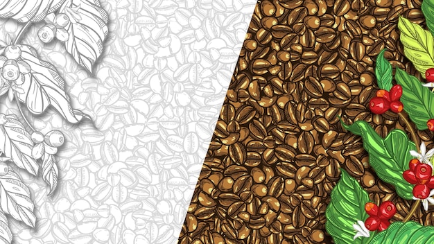 Dark and Light Hand Drawn Coffee Beans Background