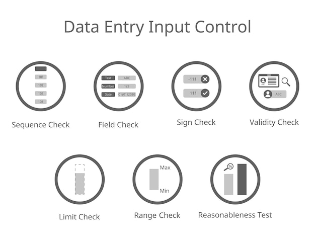 Vector data entry input control for sign check validity check field check sequence limit range