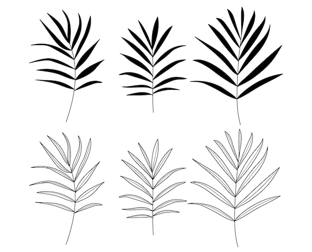 Date palm Tropical leaves silhouette