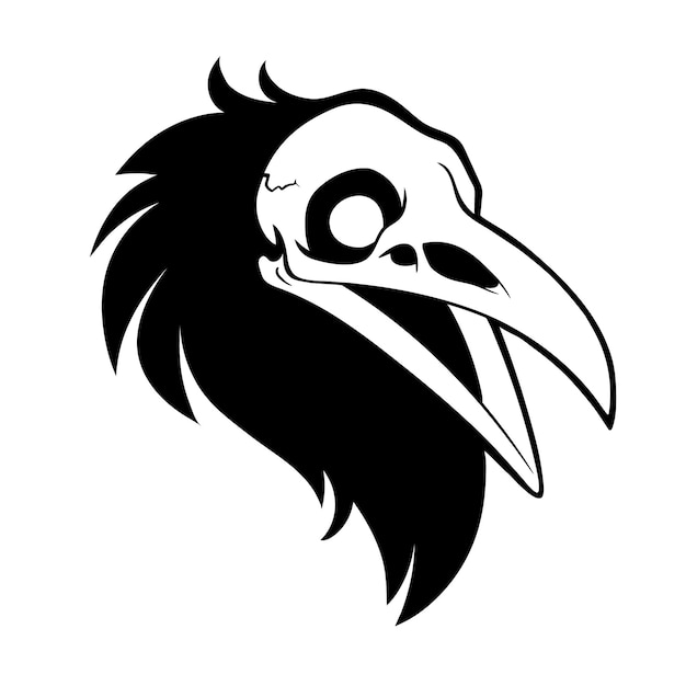 Dead bird skull with feathers