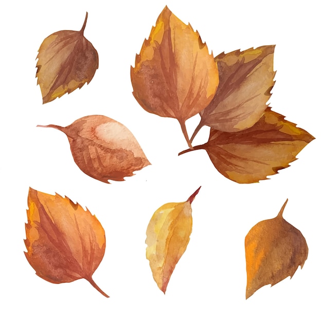 Dead leaves on a branch autumn dry leaves watercolor illustration