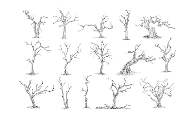 Vector dead tree handdrawn collection