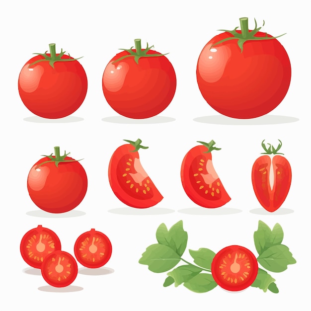 Decorate your food packaging with these delightful tomato stickers in vector format