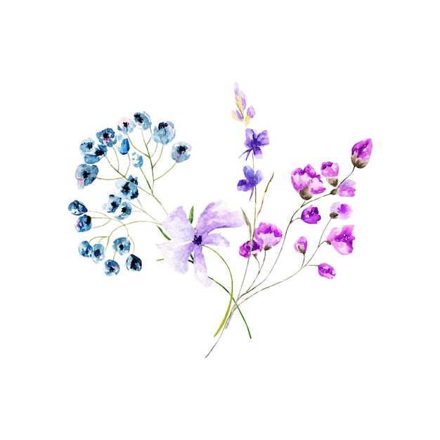 Decoration isolated on a white background bouquet of wild compositionWatercolor flowers