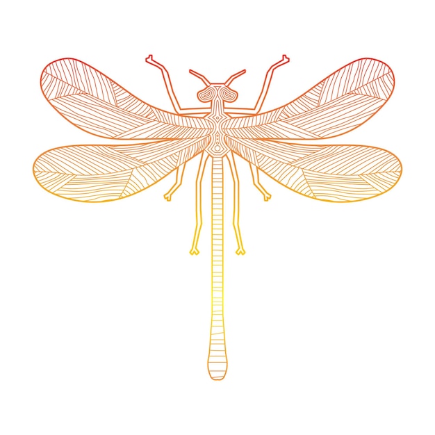 Decorative Dragonfly coloring page and coloring book for adult and kids design