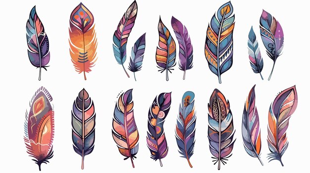 Vector decorative feather vector illustration handdrawn bird art