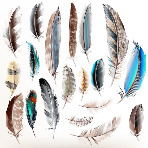 Decorative feathers collection