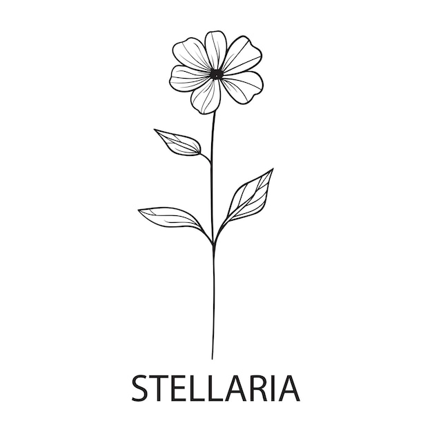 Decorative Floral Clipart Flower Line Art Vector Illustration in black and white