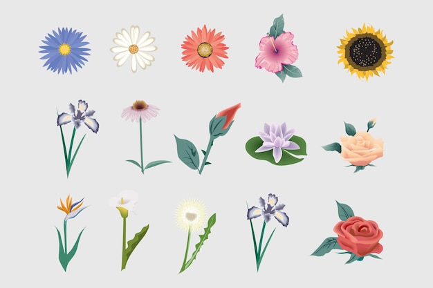 Decorative Flowers with different designs