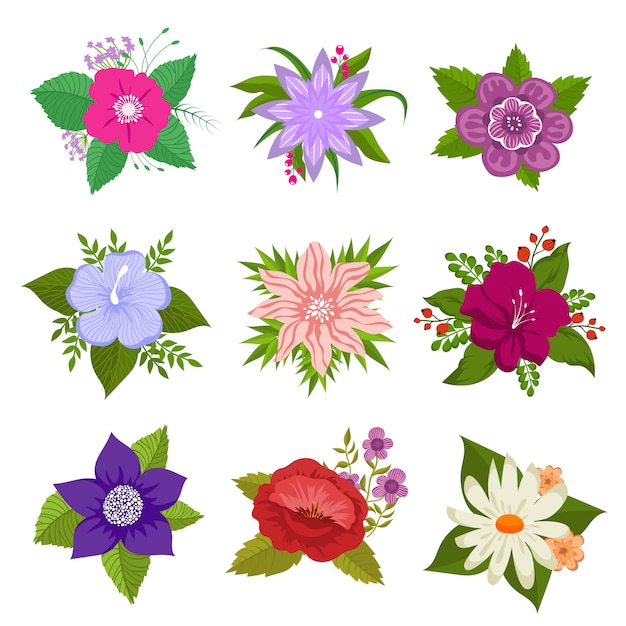 Decorative nature flower vector set