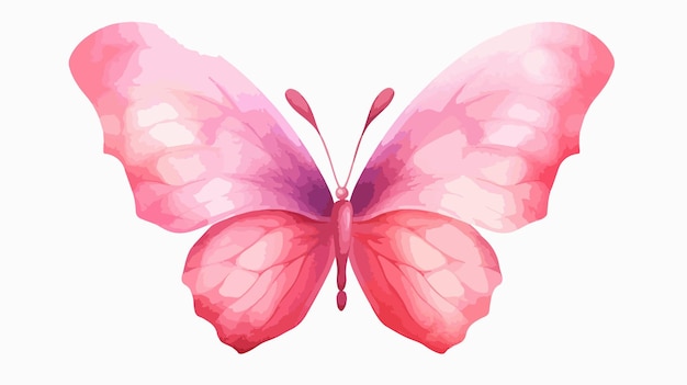 Decorative Pink Butterfly Heart Isolated on White Background