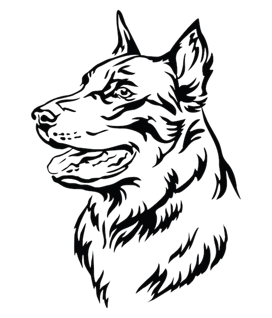 Decorative portrait of Beauceron vector illustration