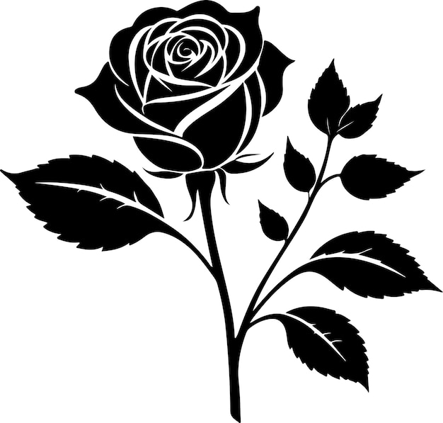 decorative rose with leaves vector black color silhouette isolate white background 18