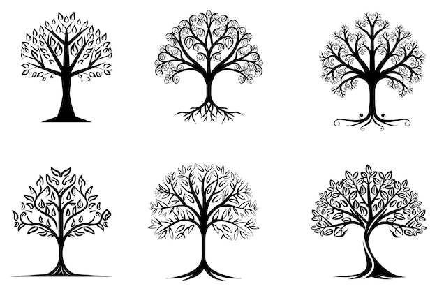 Decorative Trees Set Outline Vector Illustration On White Background