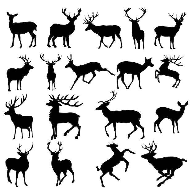 Deer animal vector Graceful Deer Animal Vector Illustration EPS Design for Wilderness Beauty