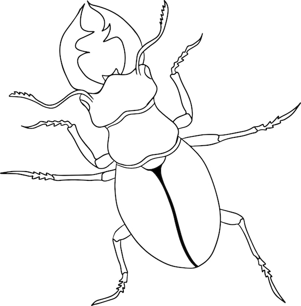 Deer beetle. Beetles coloring pages. Detailed illustration bugs. Vector, hand drawn illustration.