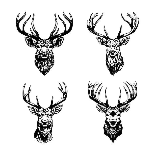 Deer hand drawn vector in white background