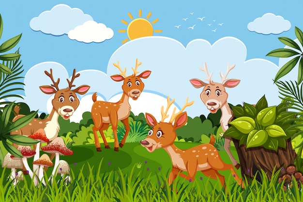 Deer in jungle scene