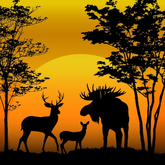 Deer and moose silhouette on sunset background