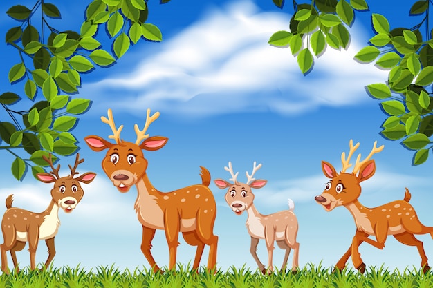 Deer in nature scene