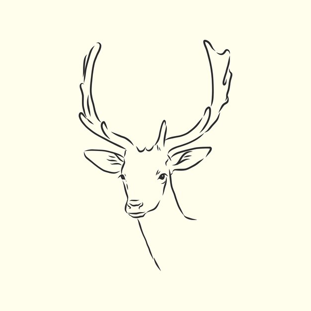 Vector deer portrait portrait of a deer deer head vector sketch illustration