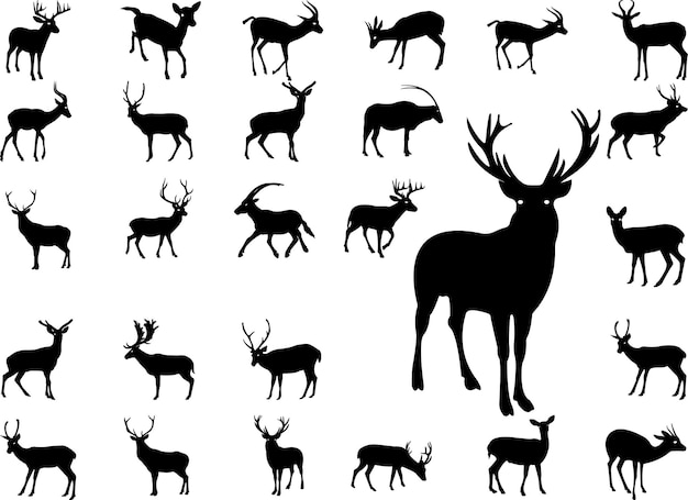 Deer silhouette pack vector