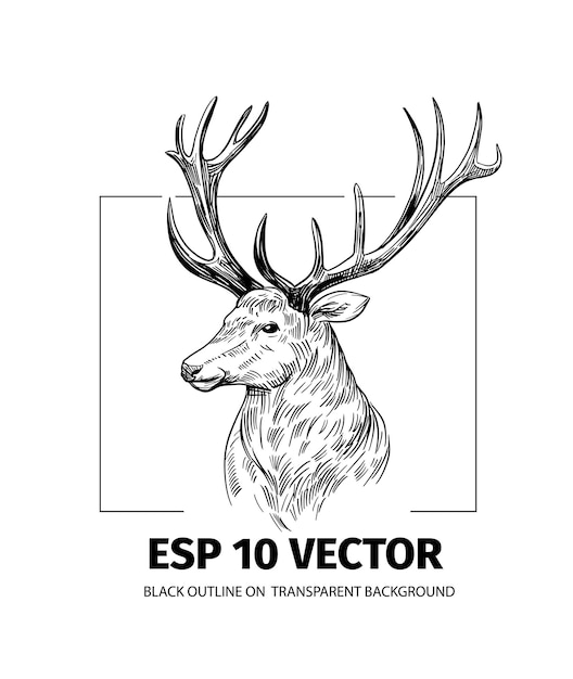 Vector deer sketch hand drawn illustration converted to vector black on transparent background