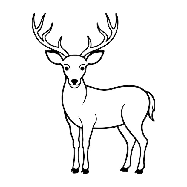 A deer with antlers stands in front of a white background