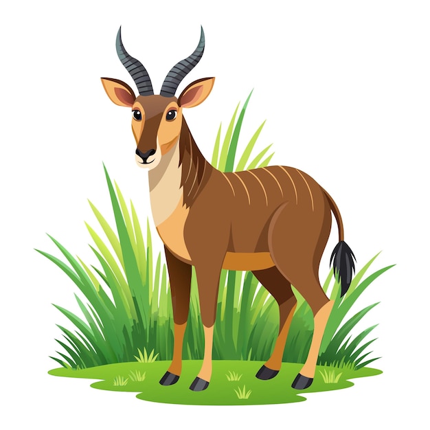 a deer with horns is standing in the grass