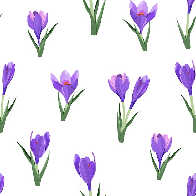 Vector delicate crocuses on a white background seamless vector illustration