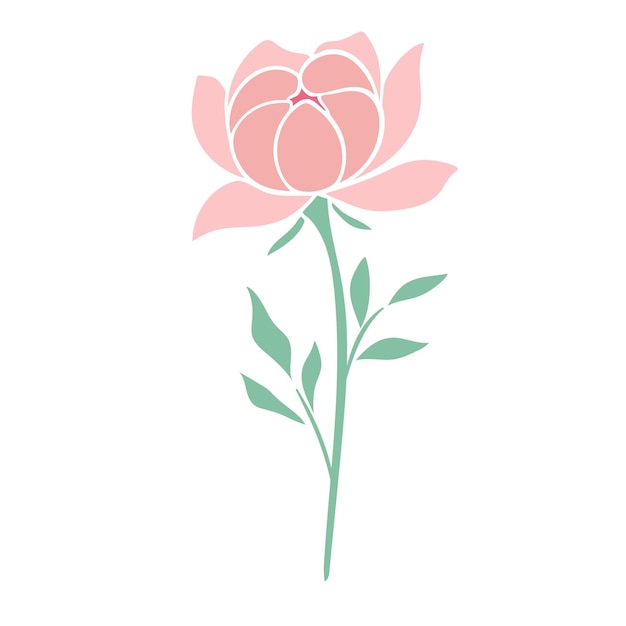 Delicate pink peony vector Blooming petals of lush garden flower isolated illustration summer decor