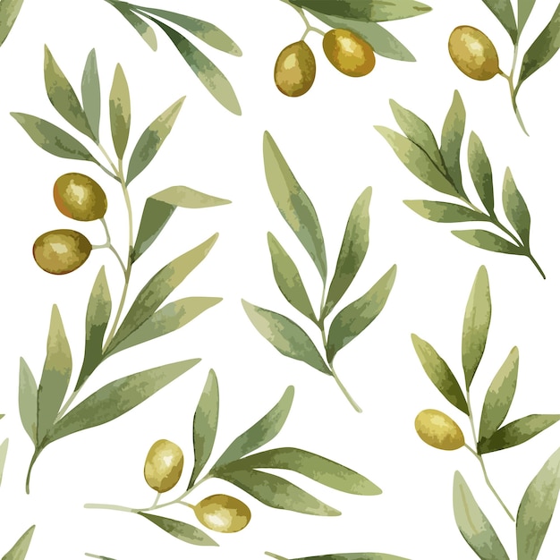 Delicate watercolor seamless pattern with olive tree branches and olives fruits on white background