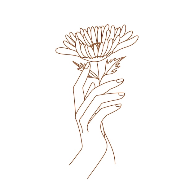 Delicate women hand with goldendaisy flower Female hand logo