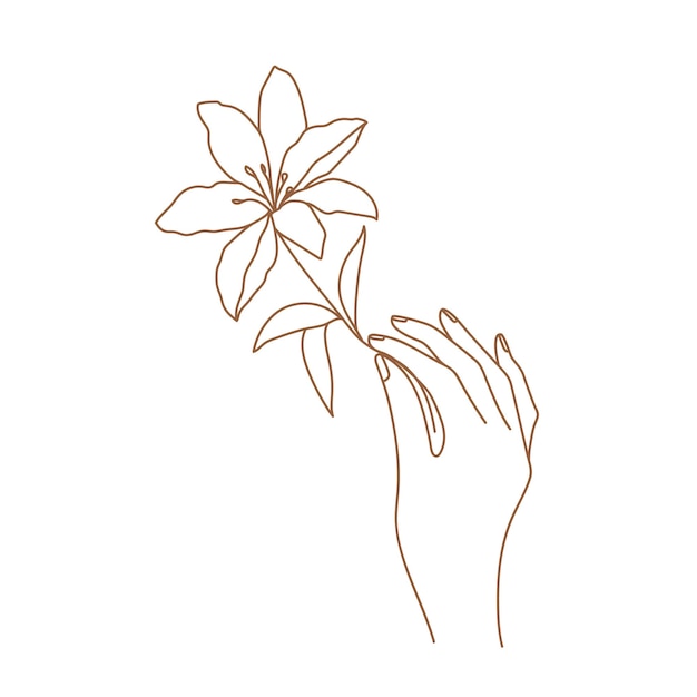 Delicate women hand with lily flower Female hand logo