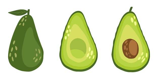 Delicious avocado whole cut into halves and with pit Vector illustration of avocado