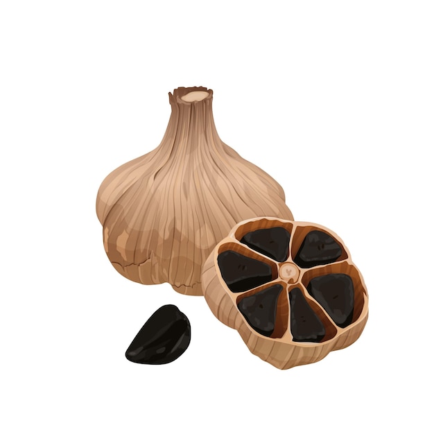 Delicious black garlic isolated on white background. Package design element with cutting path.