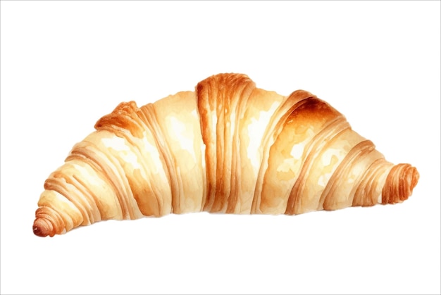 Delicious Freshly Baked Croissant Isolated Beautiful Watercolor Painting Illustration Vector