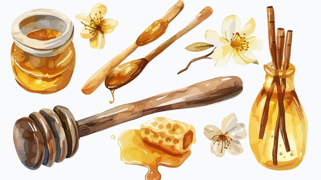 Vector delicious honey vanilla set watercolor on white background