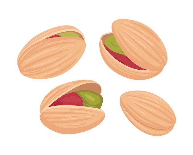 Delicious pistachio nuts Pistachio handful in shell organic crunchy snack flat vector illustration Bunch of pistachio on white background