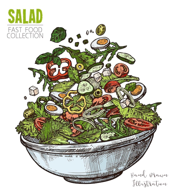 Vector delicious salad with eggs, feta cheese and vegetables. colorful hand draw illustration of fresh healthy dishes.