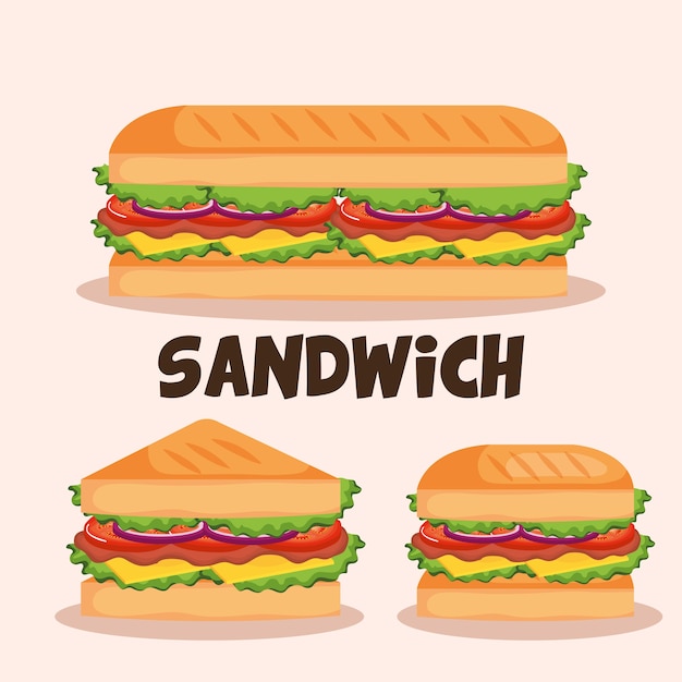 delicious sandwich fast food set icons 